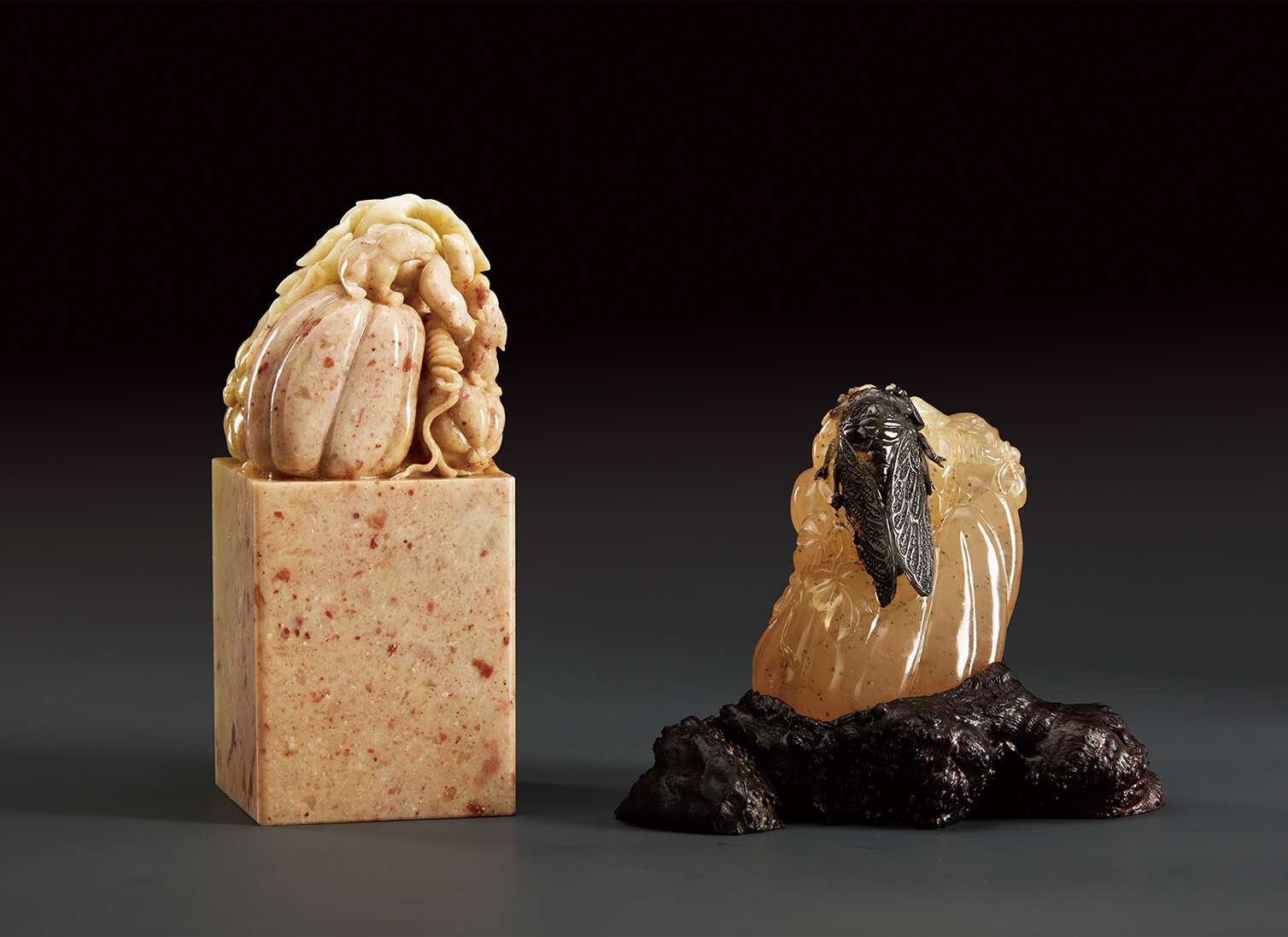 松鼠瓜 一鸣惊人