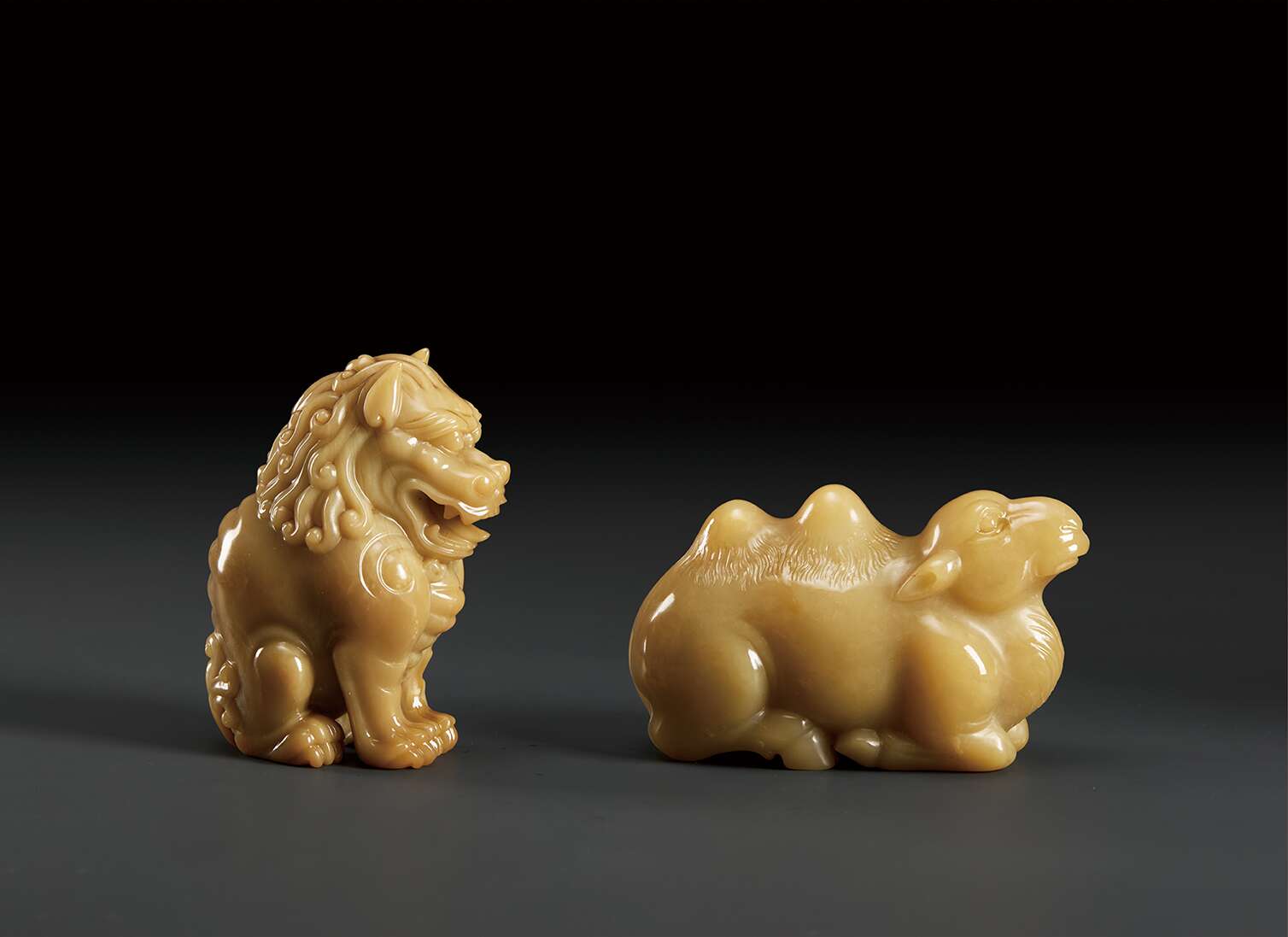 骆驼                  狮